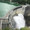 nabe06260906