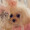 ユーザーのアイコン画像