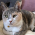 mimi11148567
