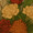 5autumn