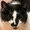 ユーザーのアイコン画像