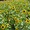 e12b0317806