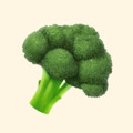 mogu_mii