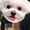 らむねたそ