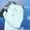 oliver_00