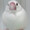 東京の文鳥飼い
