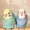 くまきぬ