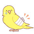 チュチュンがチュン