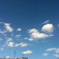 もんち(*^-^*)