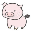 ぶぅちゃん1029