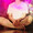 yuki.Y