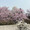 ユーザーのアイコン画像