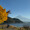 星野 輝