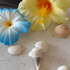 pina1109