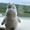 Moomin ayu