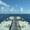 Seven Seas