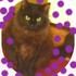 TokyoChatNoir