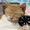 ばにら25