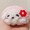 うらのす