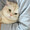 ユーザーのアイコン画像
