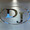DJ社長1999