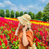 flower_gourmet_diary
