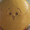 ユーザーのアイコン画像