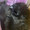 黒猫ちなみ