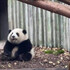 東京美食図鑑
