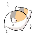 xたべあるき猫x