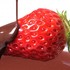 strawberrychocolate
