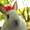 きゃろっと☆