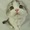 ユーザーのアイコン画像