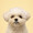 ユーザーのアイコン画像