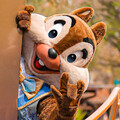 chip207