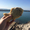 ウニぷりん