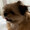 foodie_0613