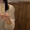 まるまる。。。