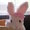 温泉うさこ