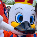 sogno9