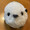 くみぞう100