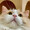 ユーザーのアイコン画像