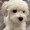 ユーザーのアイコン画像