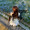 akr_1125