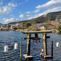 メシ然