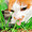 rei05cat