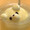 ぴーちや