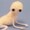 うにべるしゅっぱん