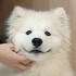 うたもぐもぐ