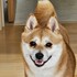 なおなお602